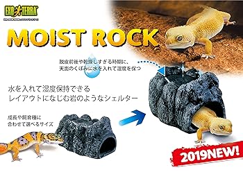aisuru ウェットシェルター 爬虫類 ウェットシェルター極 M | 株式会社スドー｜観賞魚・水草 爬虫類
